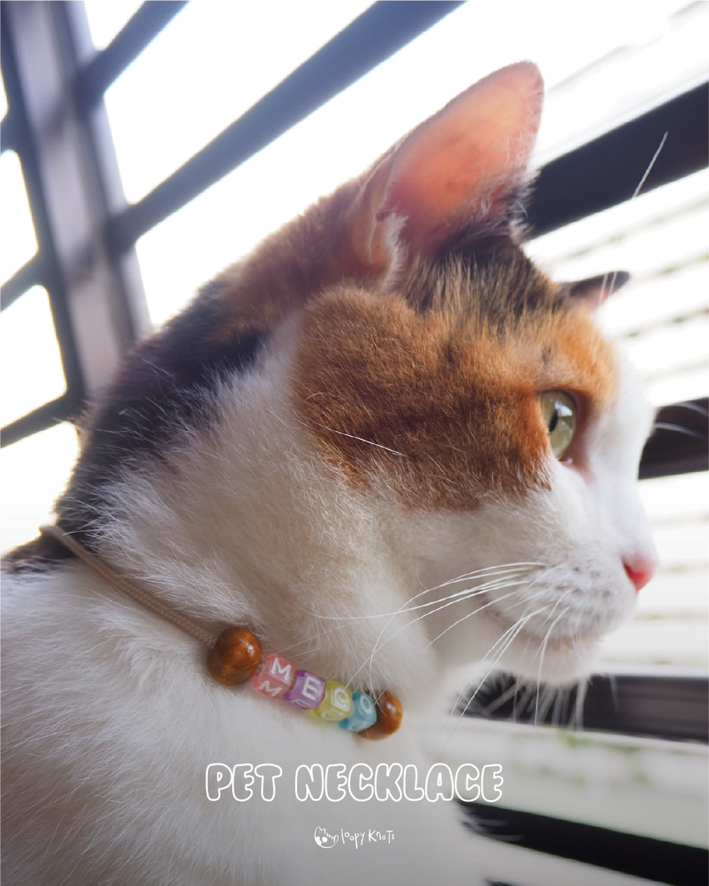 Pet Necklace - Lite
