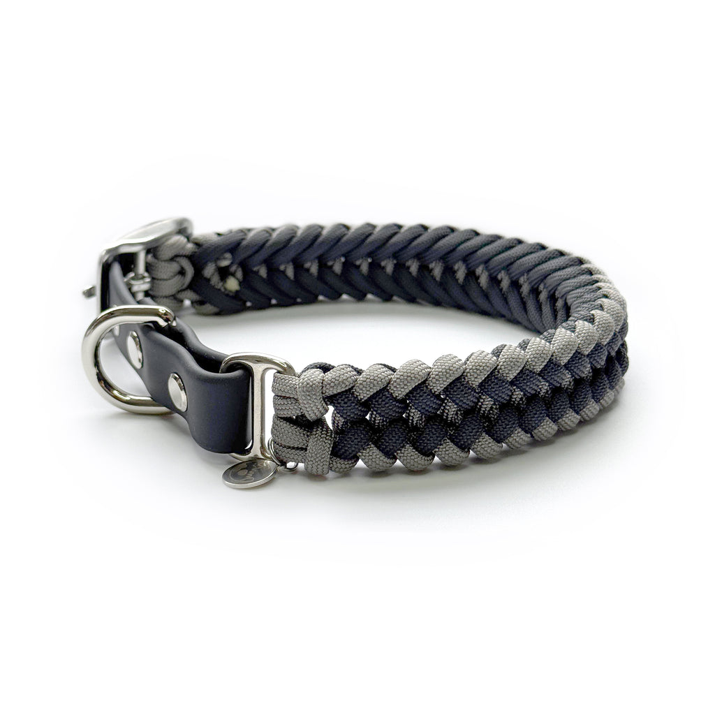 Buckled Dog Collar