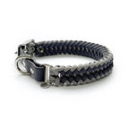 Buckled Dog Collar