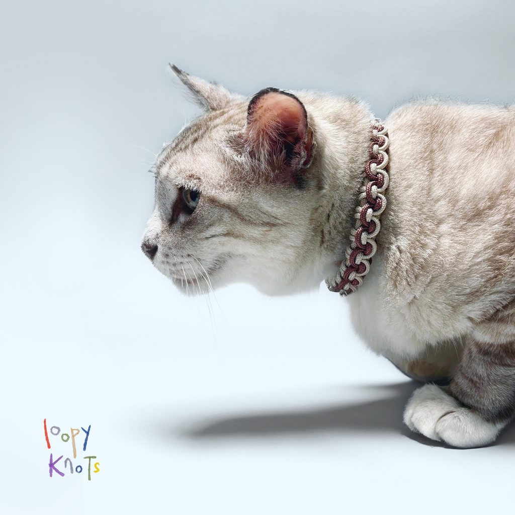 Cat Collar