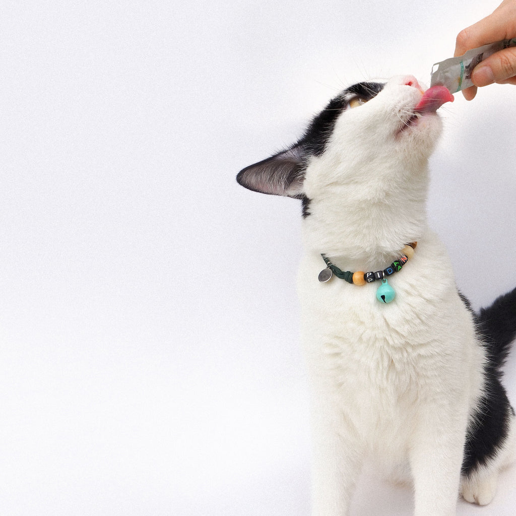 Pet Necklace - Lite