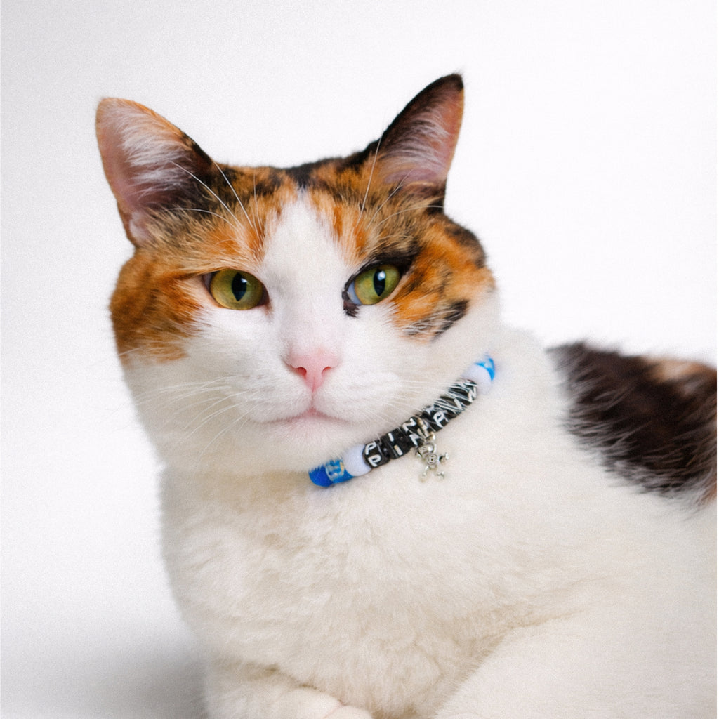 Pet Necklace - Lite