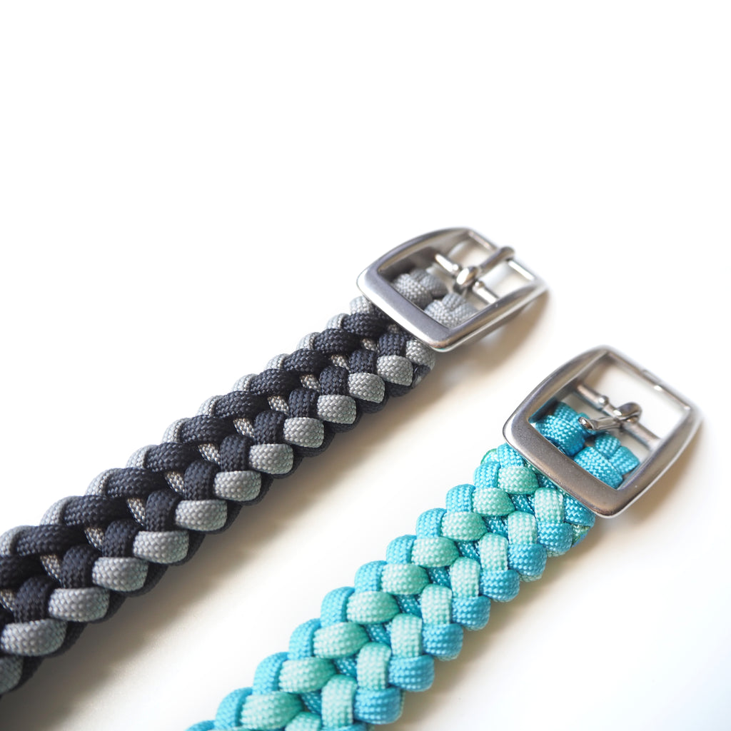 Buckled Dog Collar