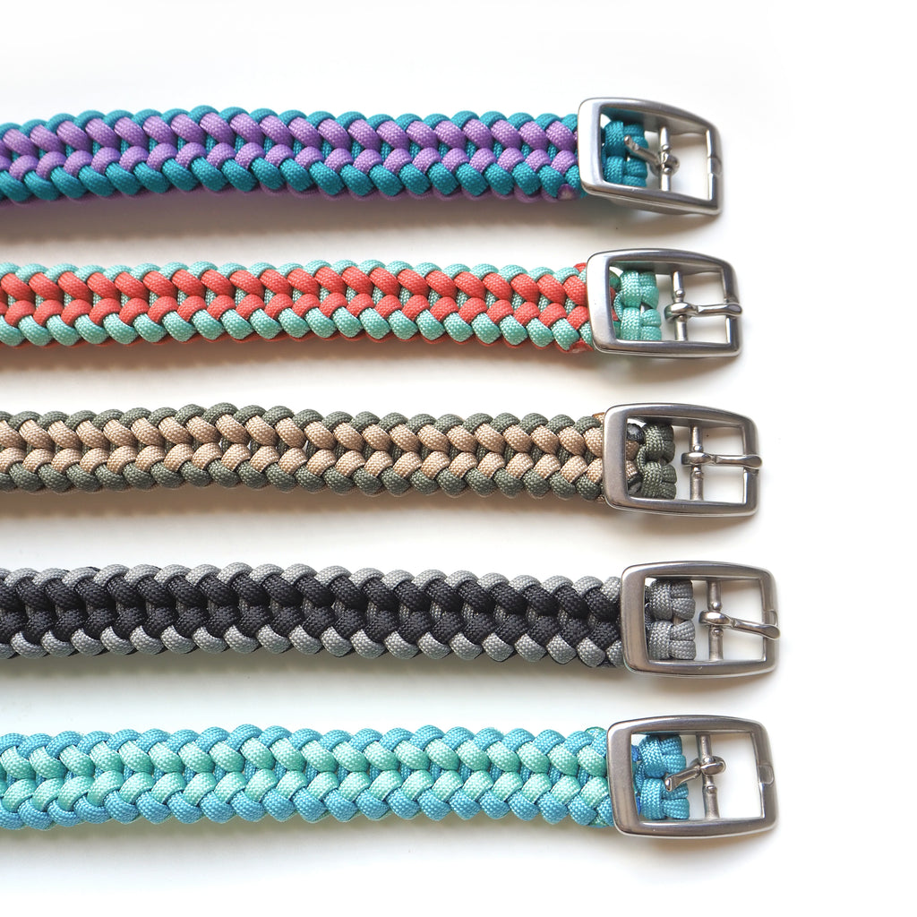 Buckled Dog Collar