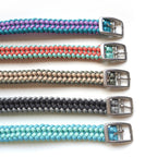 Buckled Dog Collar