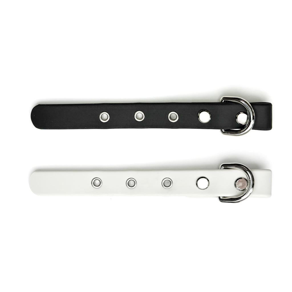 Buckled Dog Collar